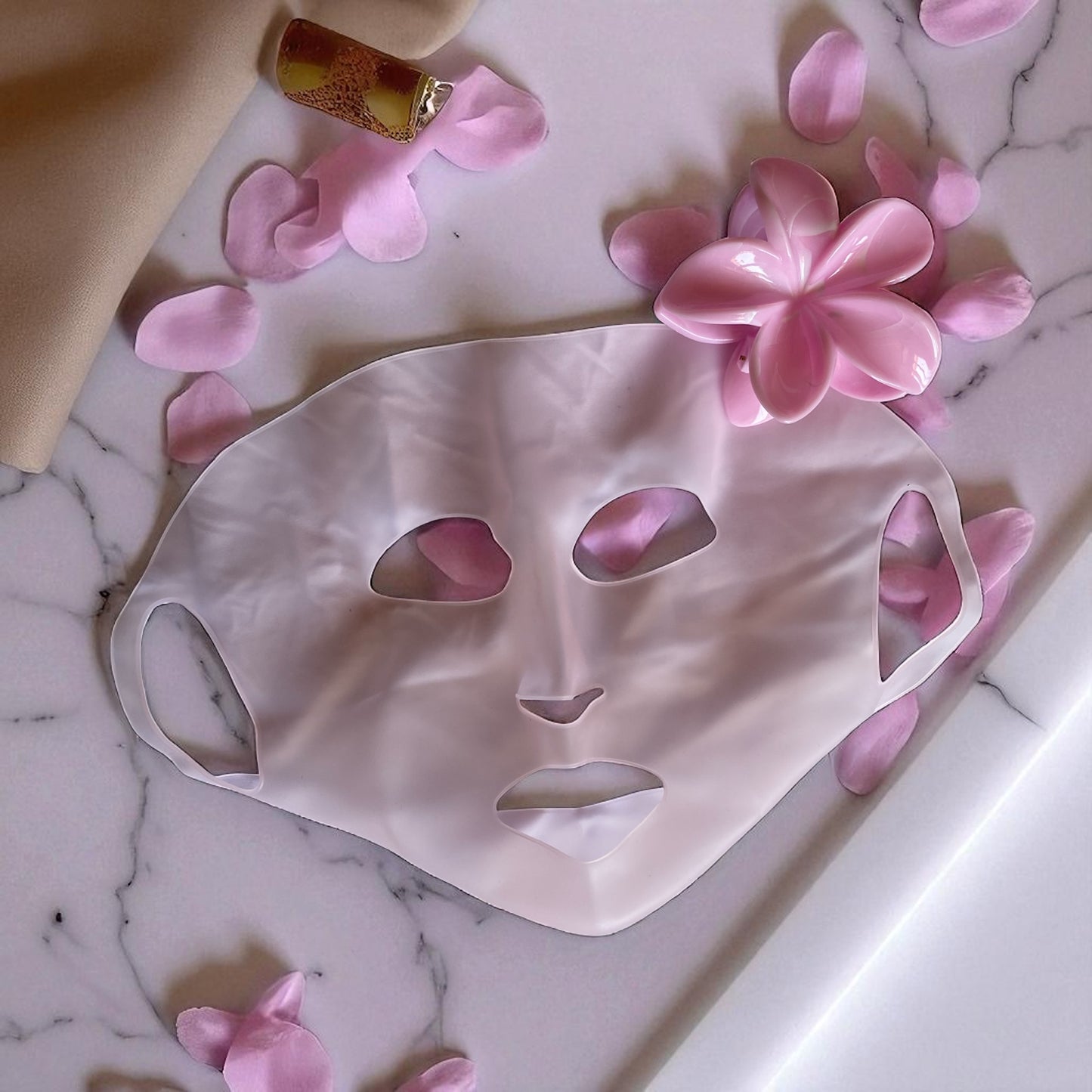 LockIN Me™ –  Kit Trousse Premium (Accessoires Pour Soins Du Visage Maison Rose)